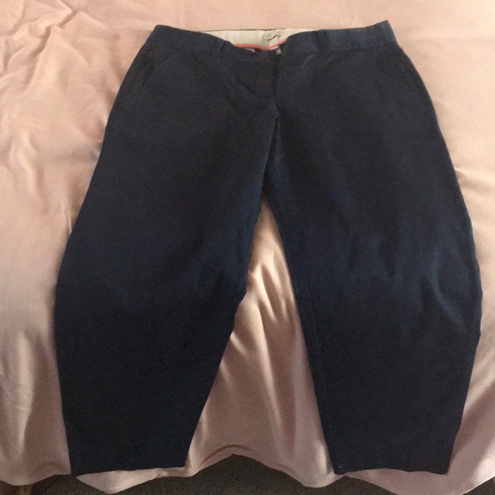 Jcrew skimmer navy work pant